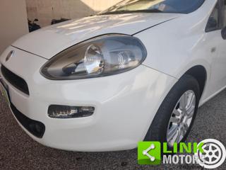 FIAT Punto usata, con Airbag