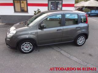 FIAT Panda usata, con Climatizzatore