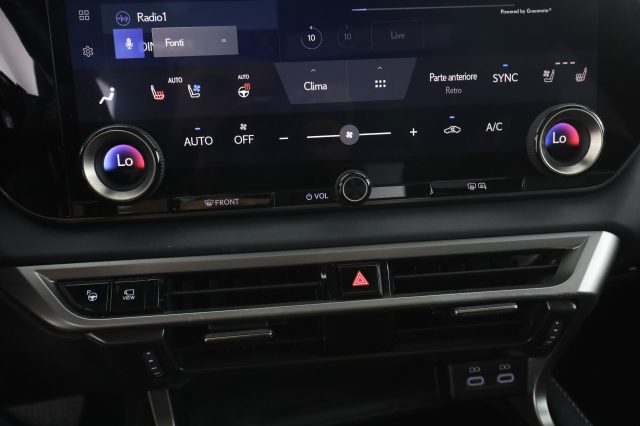 LEXUS RX 450h usata 12