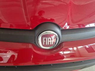 FIAT Panda usata, con Airbag testa