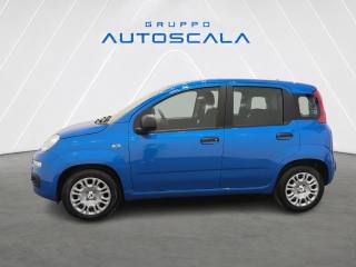 FIAT New Panda usata, con Cerchi in lega