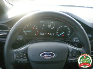 FORD Focus usata 19