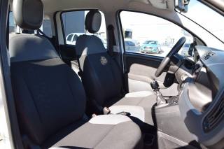 FIAT Panda usata, con Fendinebbia