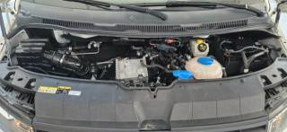 VOLKSWAGEN Transporter usata 25