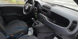 FIAT Panda usata, con Climatizzatore