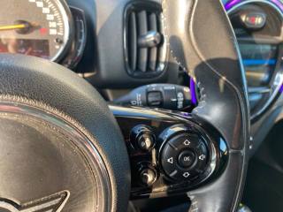 MINI Countryman usata, con Cronologia tagliandi