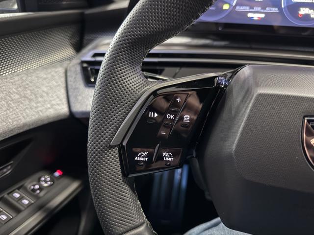 PEUGEOT 3008 usata, con Servosterzo