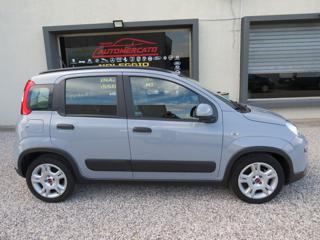FIAT Panda usata, con Antifurto