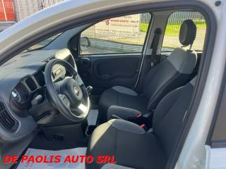 FIAT New Panda usata, con Antifurto