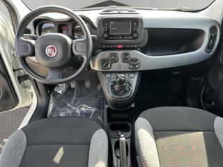FIAT Panda usata, con Controllo trazione