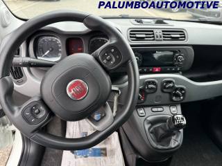 FIAT Panda usata, con Servosterzo