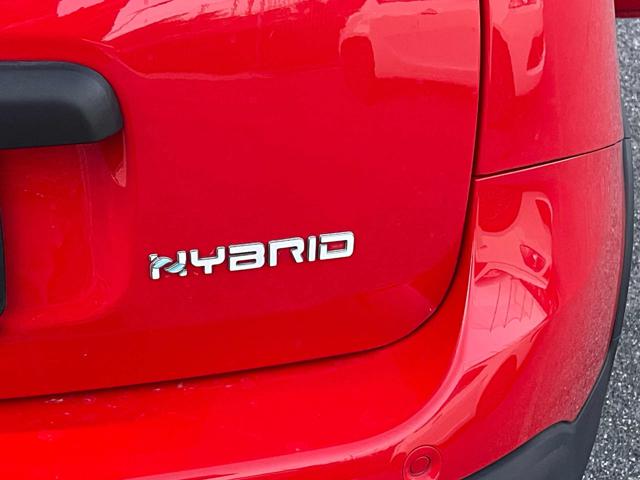 FIAT Panda Cross usata, con Servosterzo