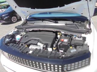 FIAT Grande Panda usata 41