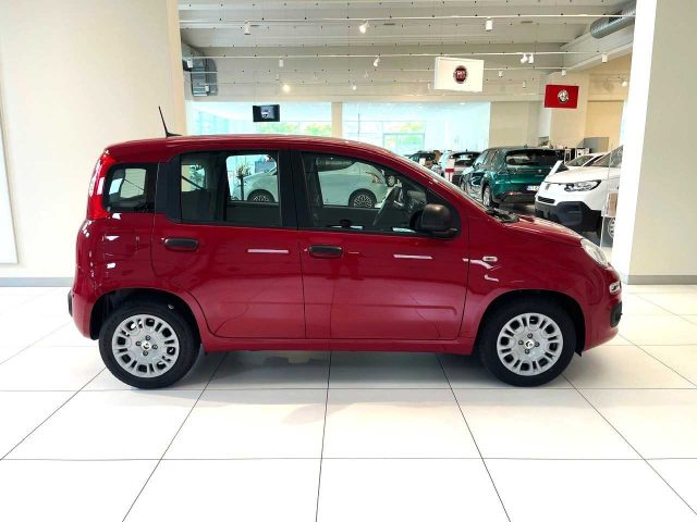 FIAT Panda usata, con Climatizzatore