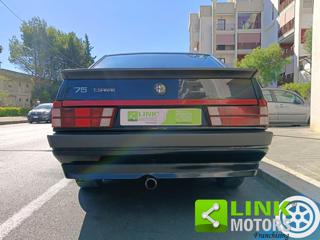 ALFA ROMEO 75 usata 36