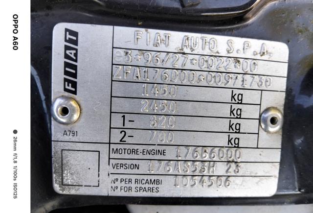 FIAT Punto usata 29