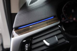BMW 530 usata 96