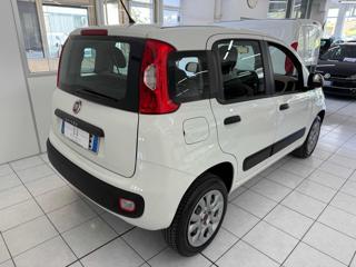 FIAT Panda usata, con Airbag Passeggero