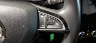 SKODA Octavia usata, con Controllo trazione