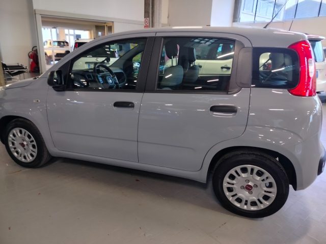 FIAT Panda usata, con Climatizzatore