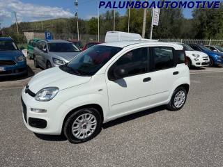 FIAT Panda usata, con Airbag Passeggero