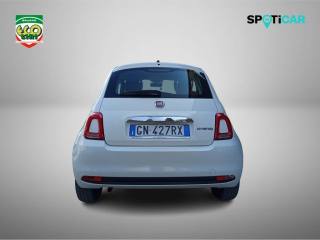 FIAT 500 usata 20