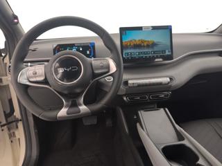 BYD Dolphin Surf usata, con ESP