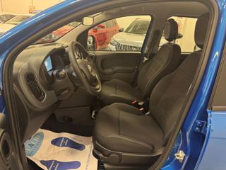 FIAT Panda usata, con Antifurto