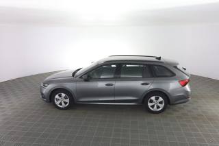SKODA Octavia usata 2