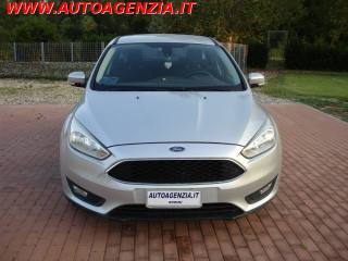 FORD Focus usata 5