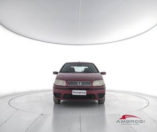 FIAT Punto usata 4