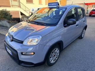 FIAT Panda 1.0 FireFly S&S Hybrid City Life 70cv