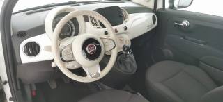 FIAT 500 usata 38