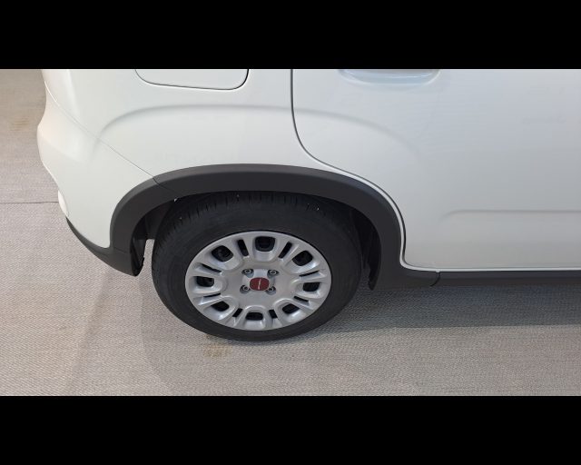 FIAT New Panda usata 14
