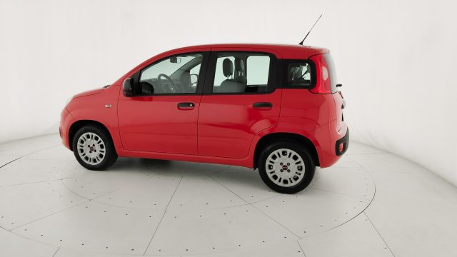 FIAT Panda usata 31