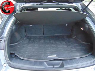 LEXUS UX 250h usata, con Climatizzatore