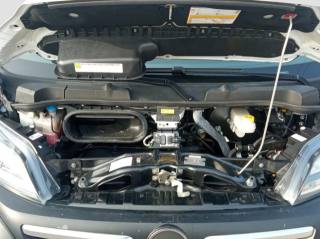 OPEL Movano usata 12