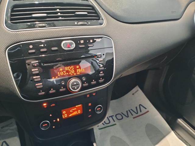 FIAT Punto usata 12
