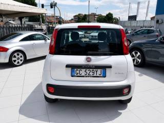 FIAT Panda usata, con Antifurto