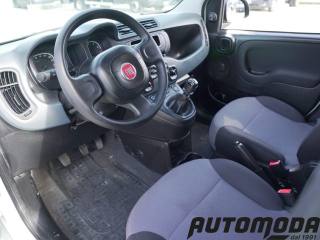 FIAT Panda usata 8