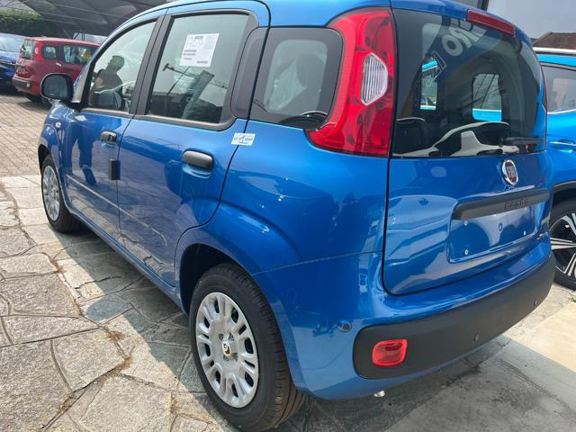 FIAT Panda usata 14