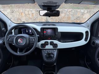 FIAT Panda Cross usata, con Cruise Control