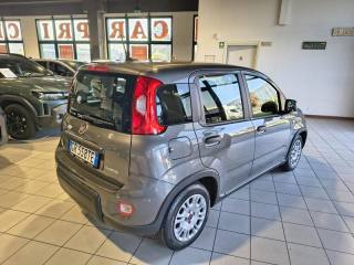 FIAT Panda usata, con Airbag Passeggero