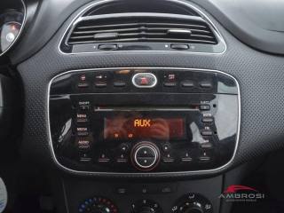 FIAT Punto usata 14