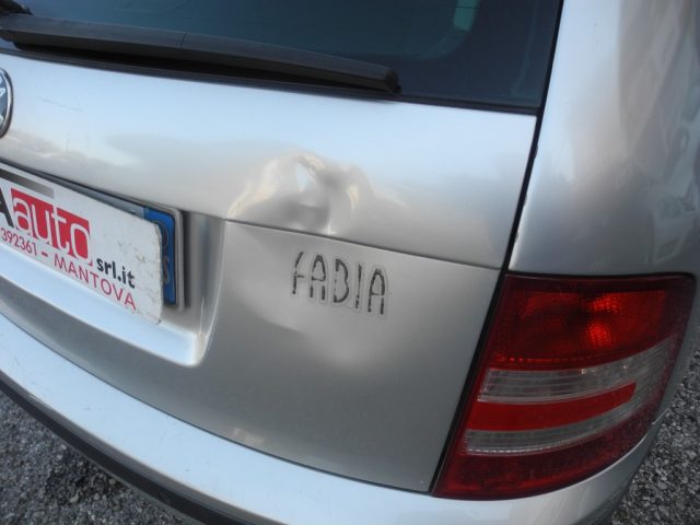 SKODA Fabia usata 73