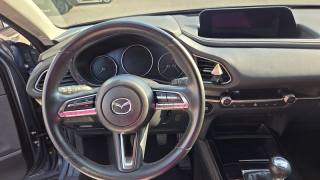MAZDA CX-30 usata, con Portellone posteriore elettrico