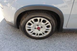 FIAT Panda usata 6