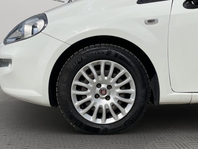 FIAT Punto usata 16