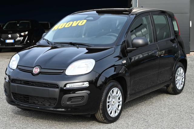 FIAT Panda usata, con Volante multifunzione