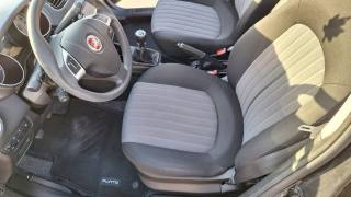 FIAT Punto usata, con Servosterzo